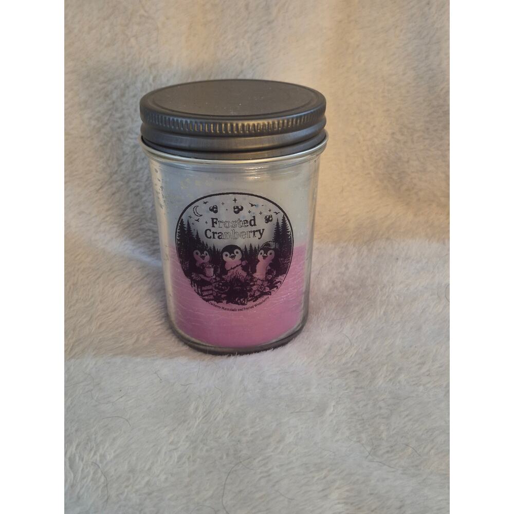 Homemade "Frosted Cranberry" Candle, 9oz